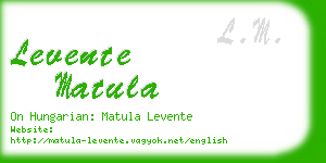 levente matula business card